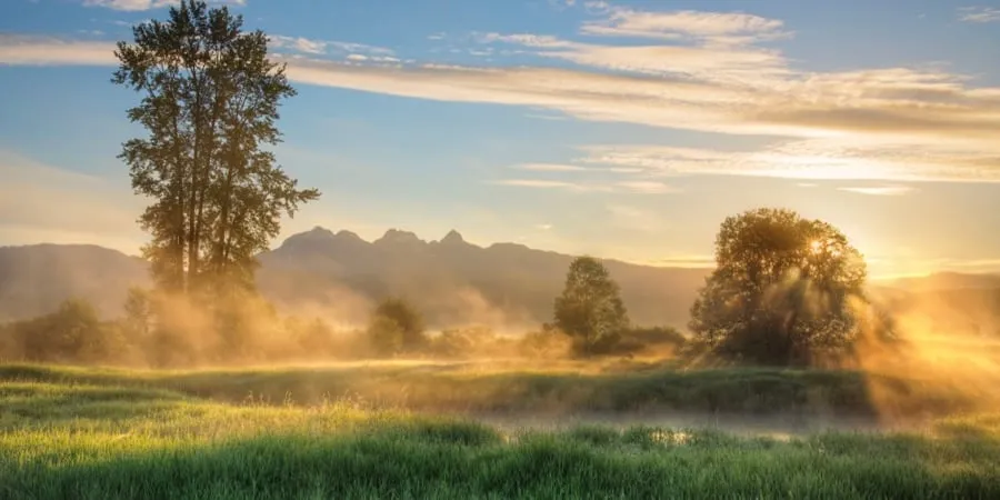 Maple Ridge Real Estate Sold Listings Greater Vancouver Open House, MLS Listings, Homes for Sale