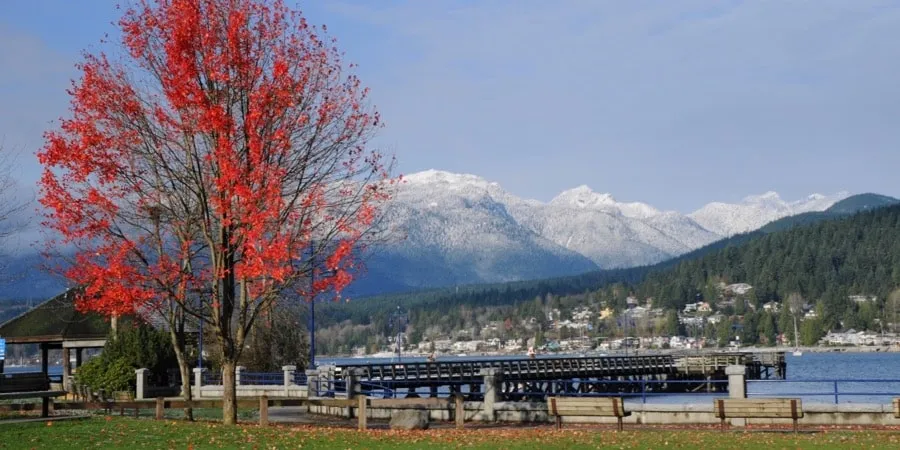 Port Moody Real Estate Open House, MLS Listings, Homes for Sale