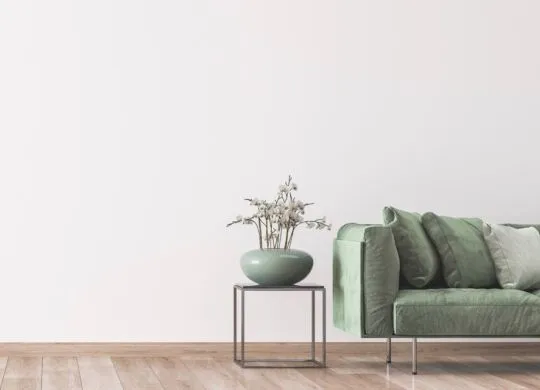 Detached Home for sale Langley, Business for sale, Team Dana & Amar Real Estate, cash sales