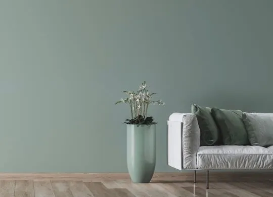 Detached Home for sale Port Coquitlam, BC Homes for sale, Business for sale, Team Dana & Amar, Real Estate